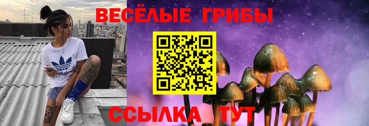 Псилоцибиновые грибы Cubensis  Галлюциногенные грибы ЛСД  Вход с VPN  Рыбинск 