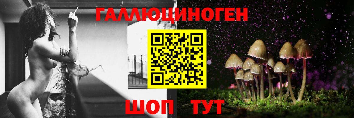 Псилоцибиновые грибы ЛСД Рыбинск
